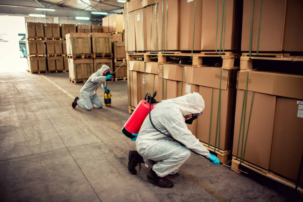 Best Bed Bug Extermination  in Fairview, NC
