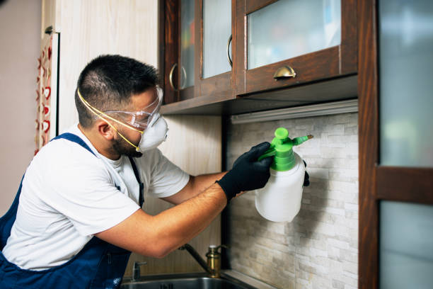 Best Cockroach Control Services  in Fairview, NC