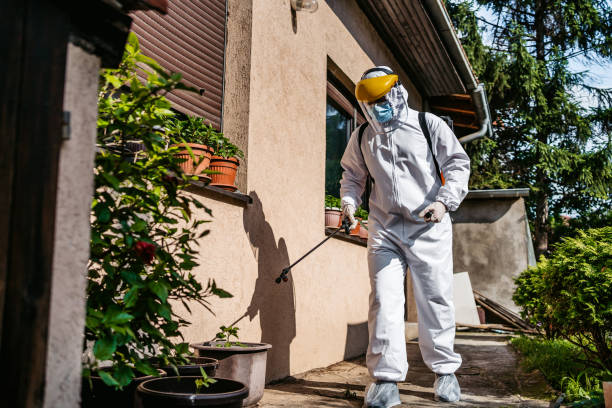 Best Exterminator Services  in Fairview, NC