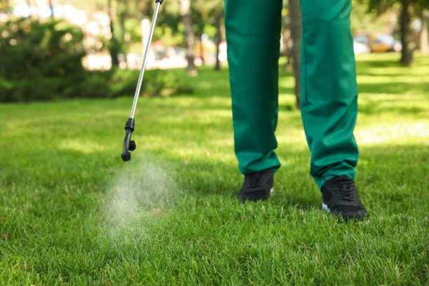Best Best Pest Control Companies  in Fairview, NC
