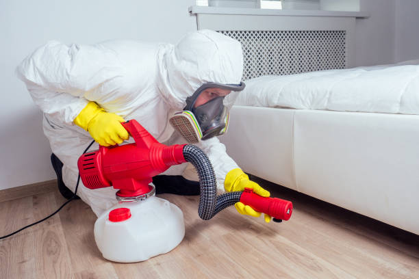 Best Mosquito Control Services  in Fairview, NC