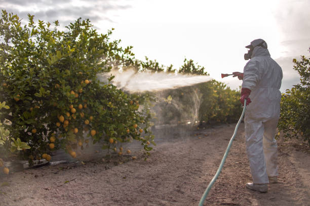  Fairview, NC Pest Control Pros