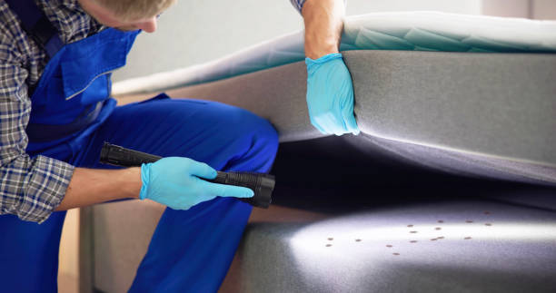 Flea Control Services in Fairview, NC