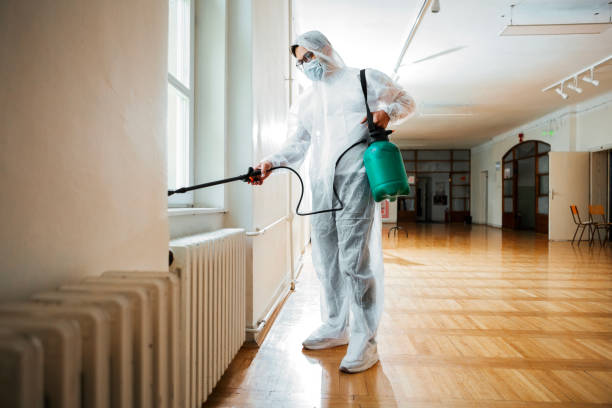 Reliable Fairview, NC Pest Control Solutions