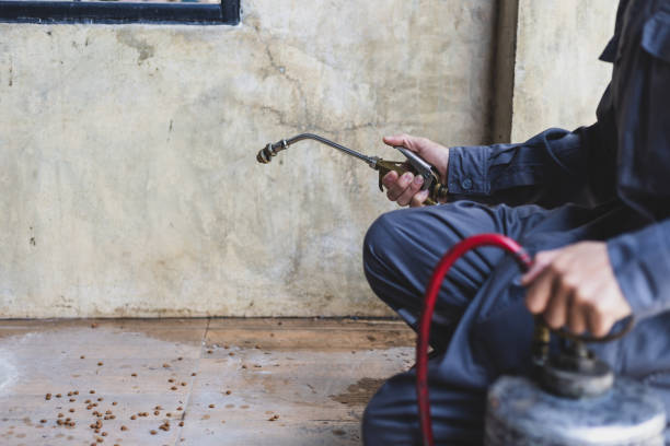 Best Pest Inspection Near Me  in Fairview, NC